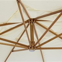 0795479-img6.jpg